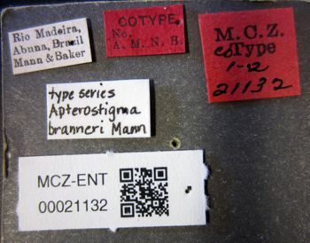 Media type: image;   Entomology 21132 Aspect: labels